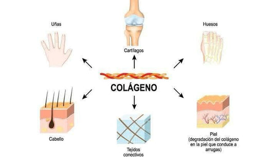 Gomitas de Colageno