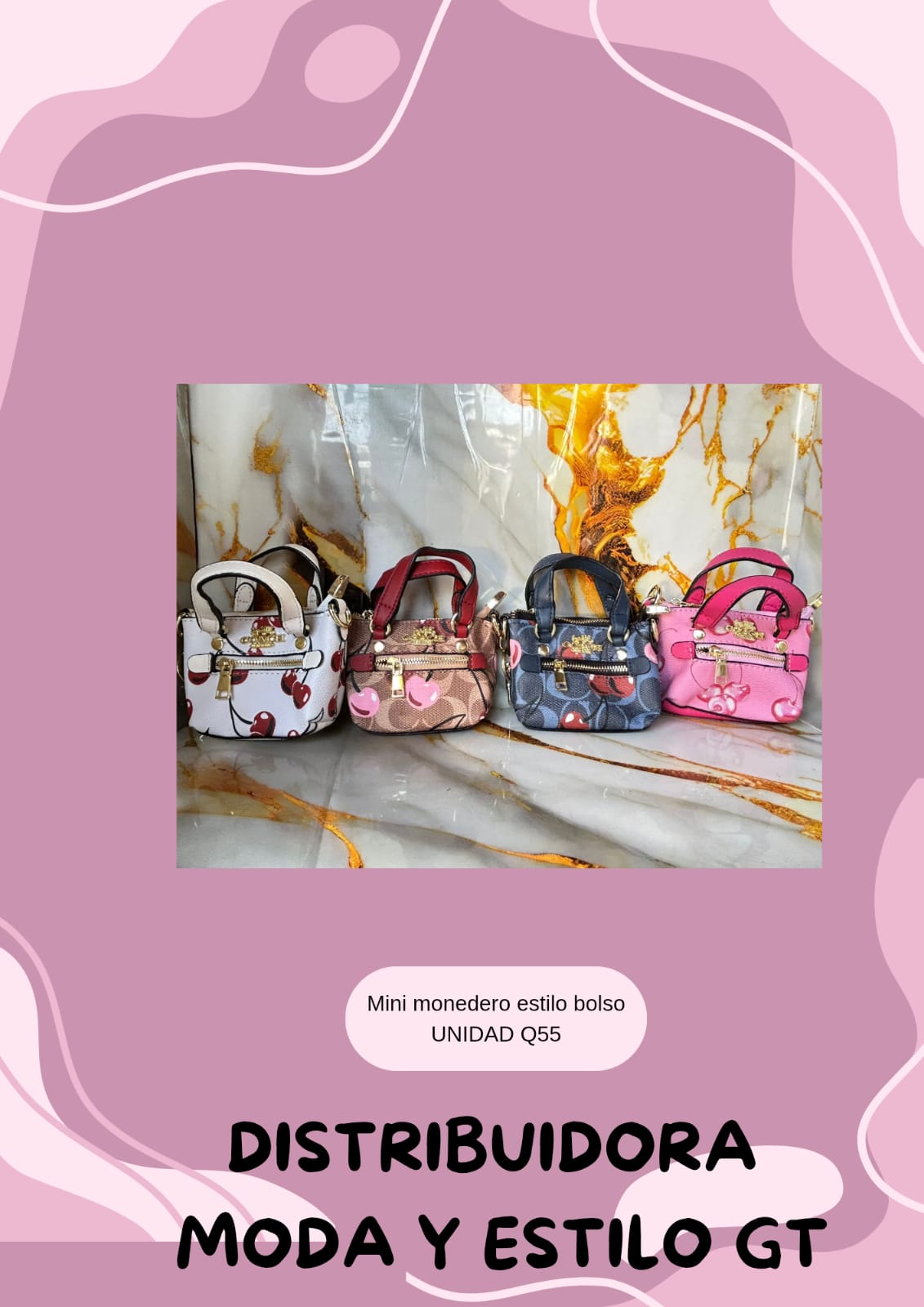 Mini bolso coach